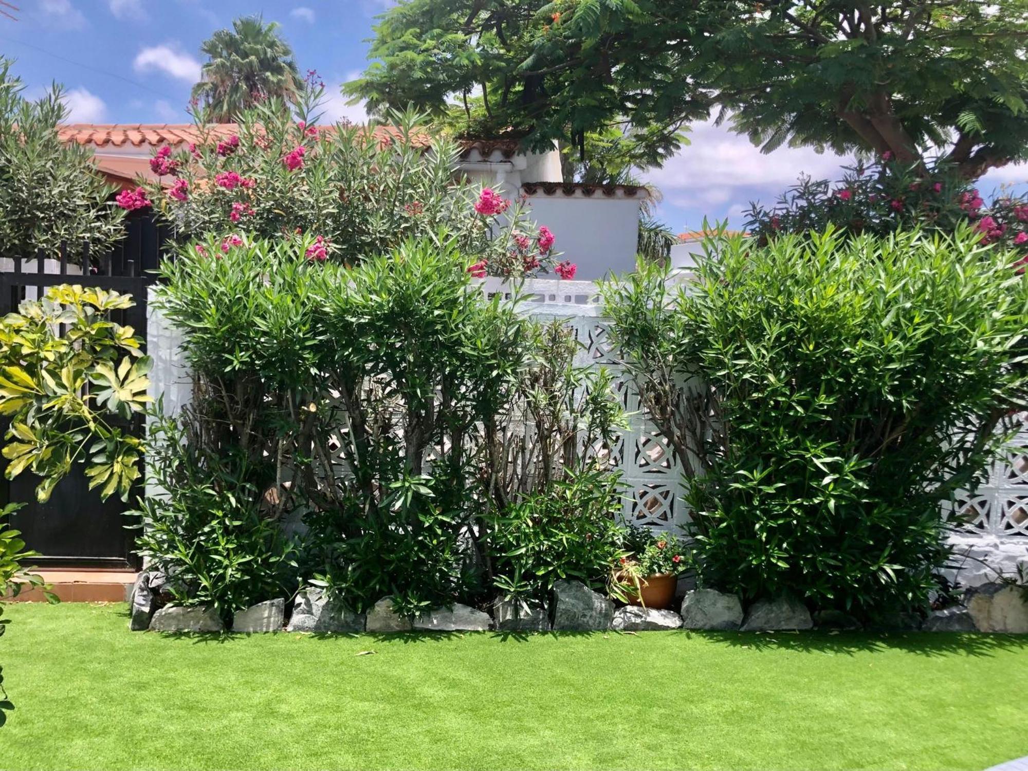 Santa Clara Bungalows 마스팔로마스 외부 사진